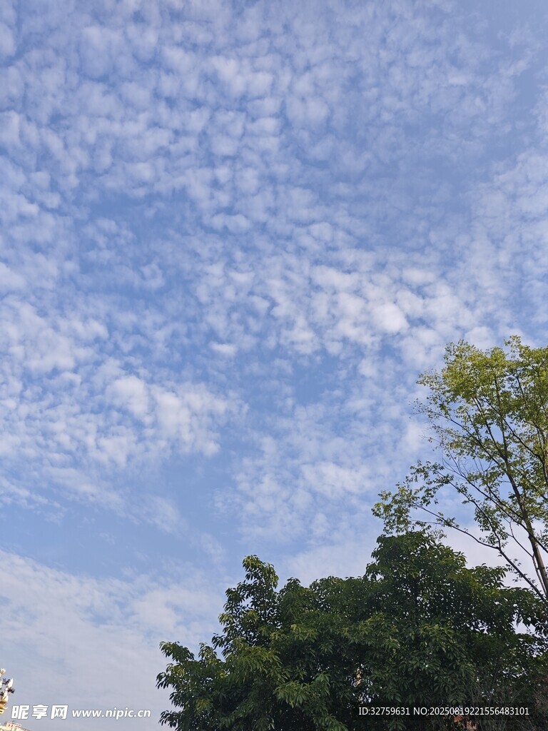 藍(lán)天白云下的綠樹(shù)景致