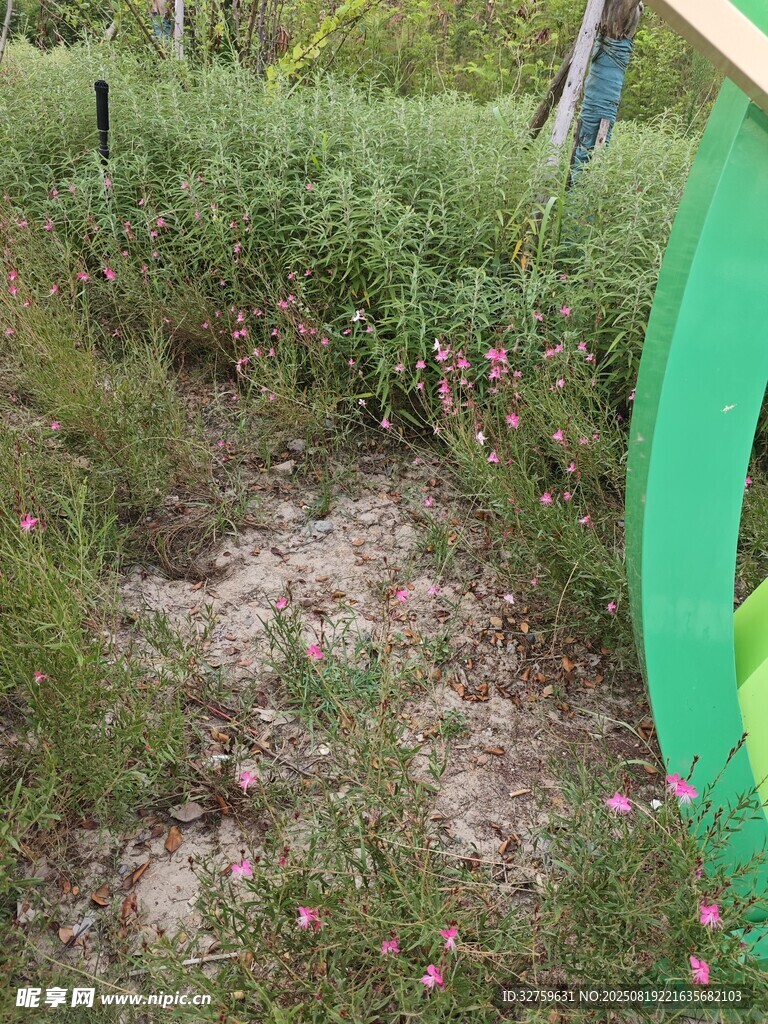 戶外綠植環(huán)繞的泥土地