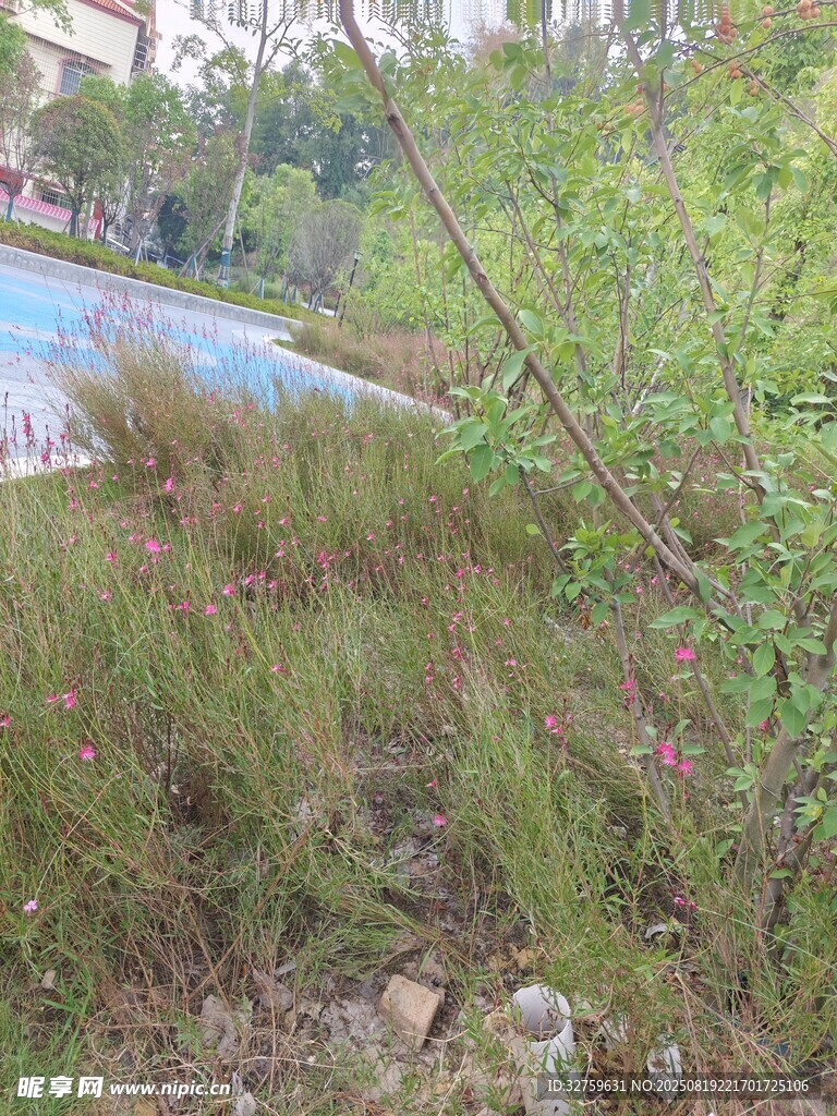 戶外草地與遠(yuǎn)處水域景觀