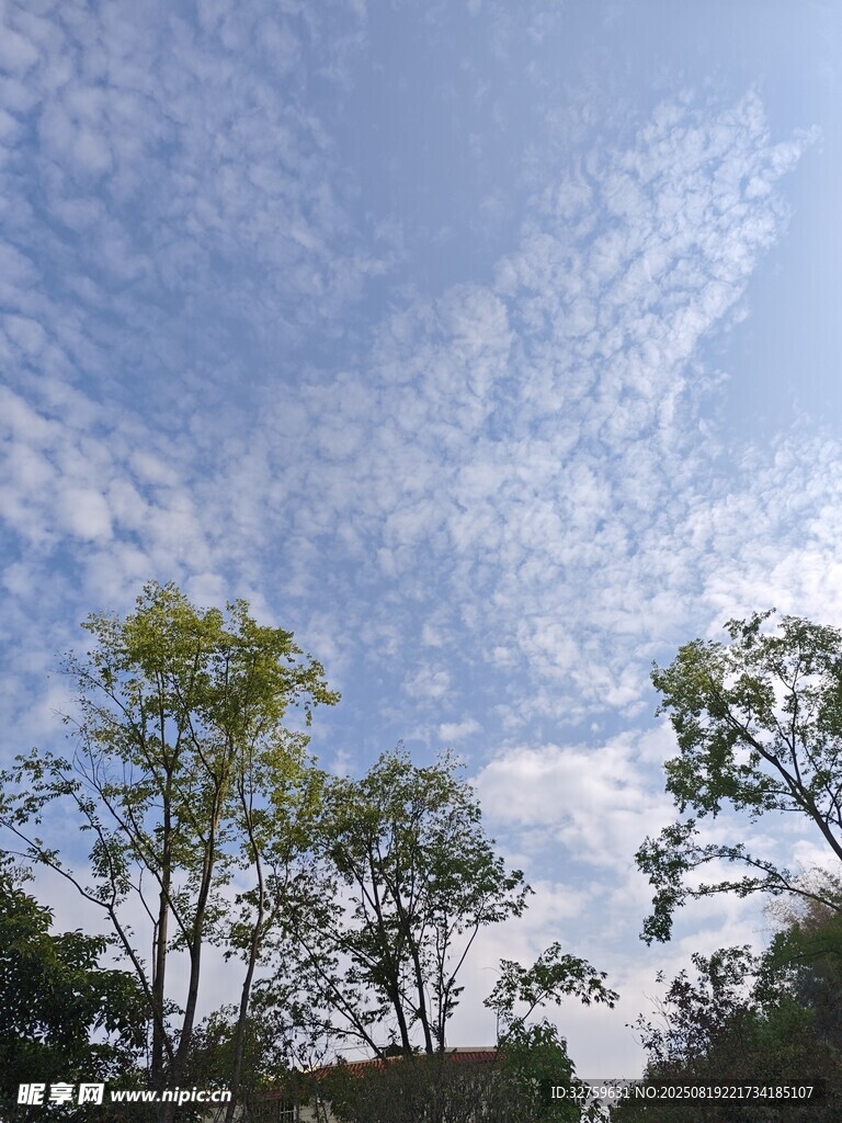 藍(lán)天白云下的綠樹(shù)風(fēng)景