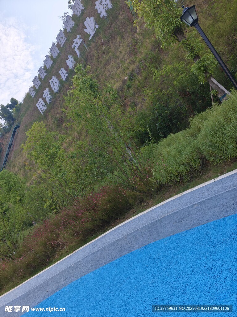 戶外泳池邊的綠植景觀