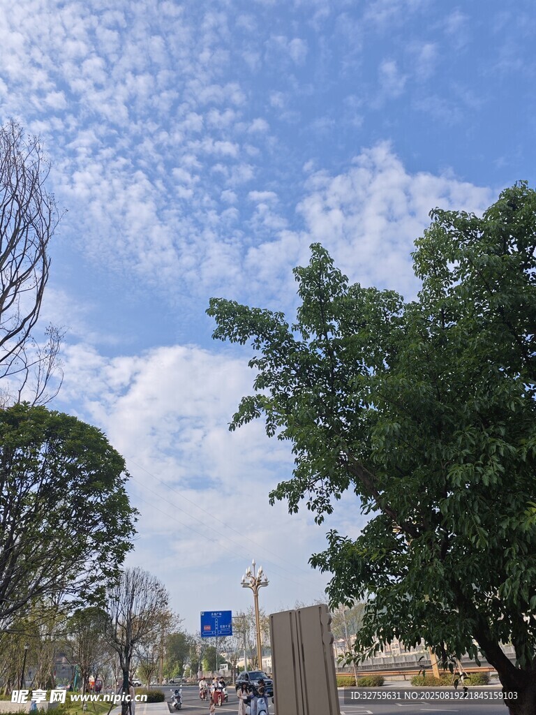 藍(lán)天白云下的綠樹(shù)風(fēng)景
