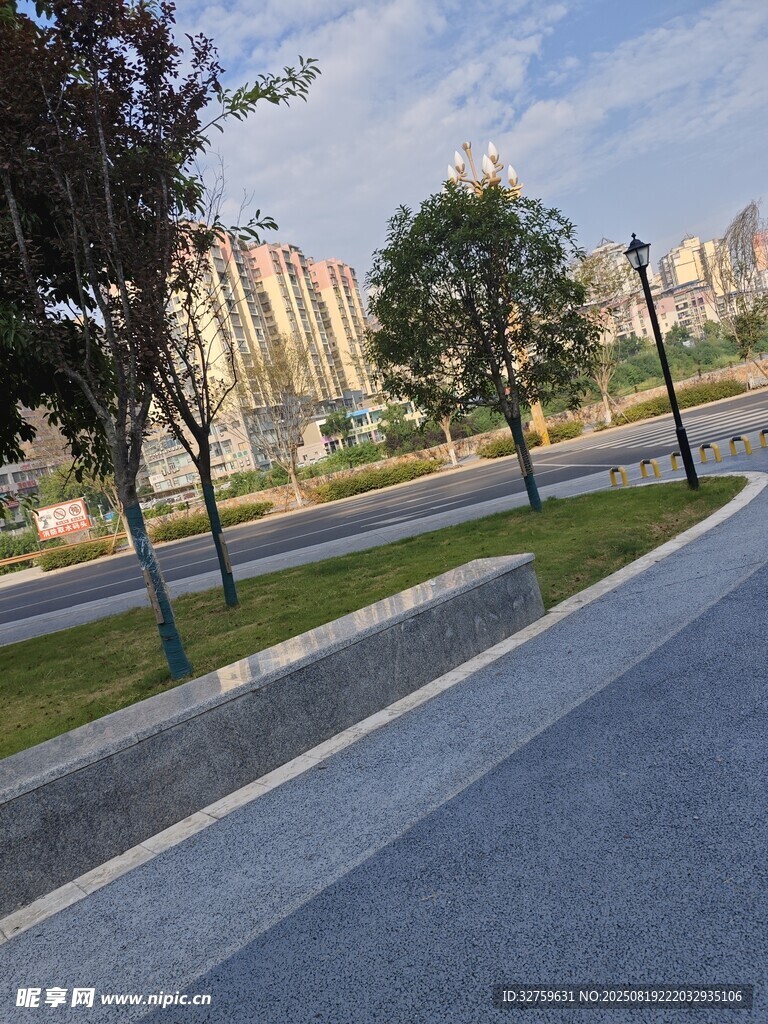 城市道路旁的綠樹與建筑