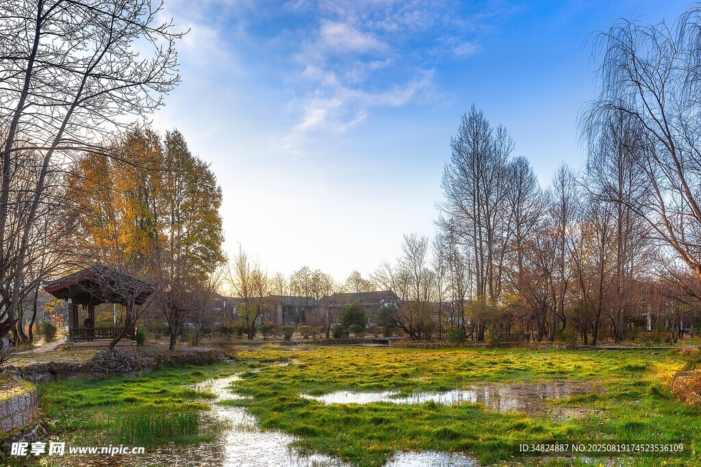 秋日河畔美景