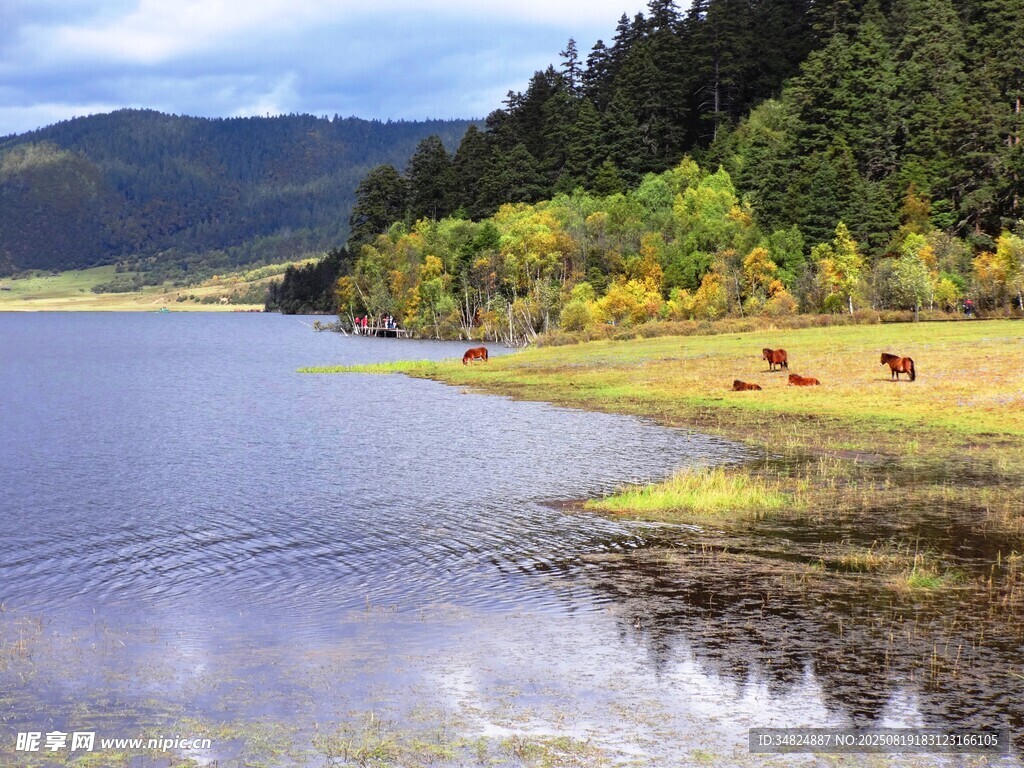 湖畔山林間的悠然景致