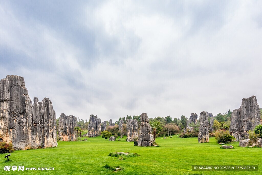 云南石林美景