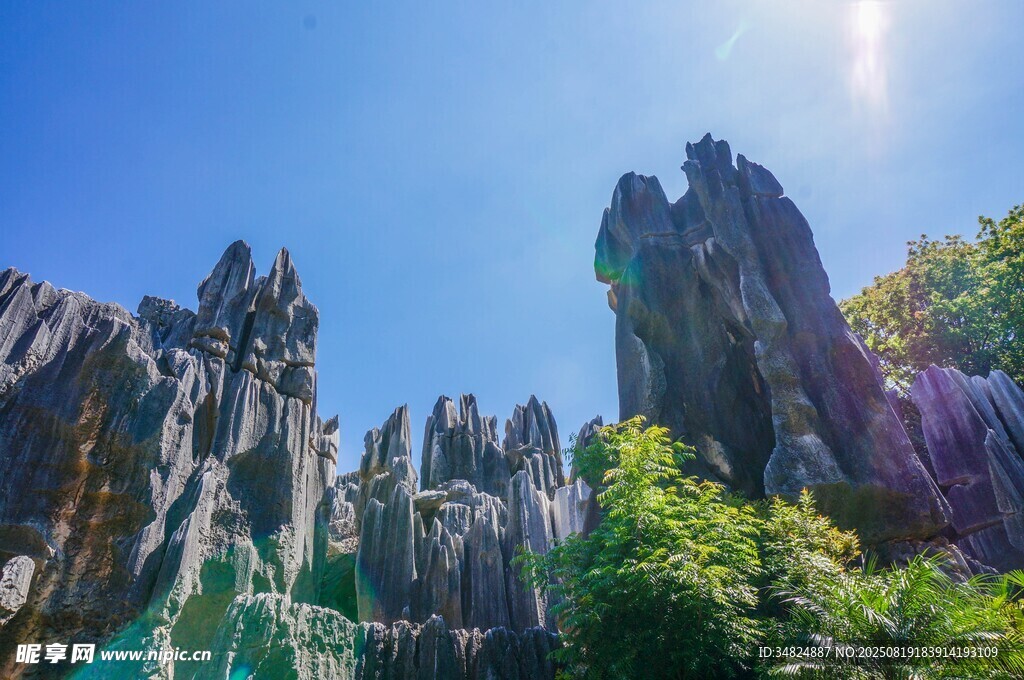 壯麗石林景觀