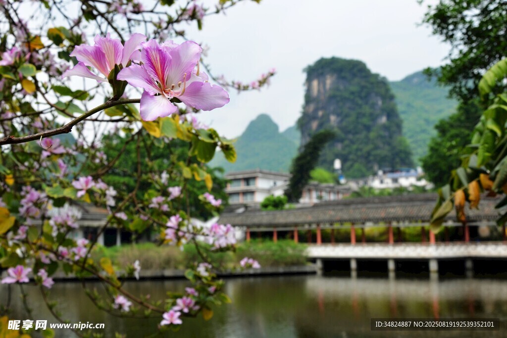 湖畔繁花與遠山美景