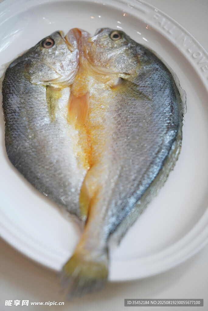 黃魚(yú)