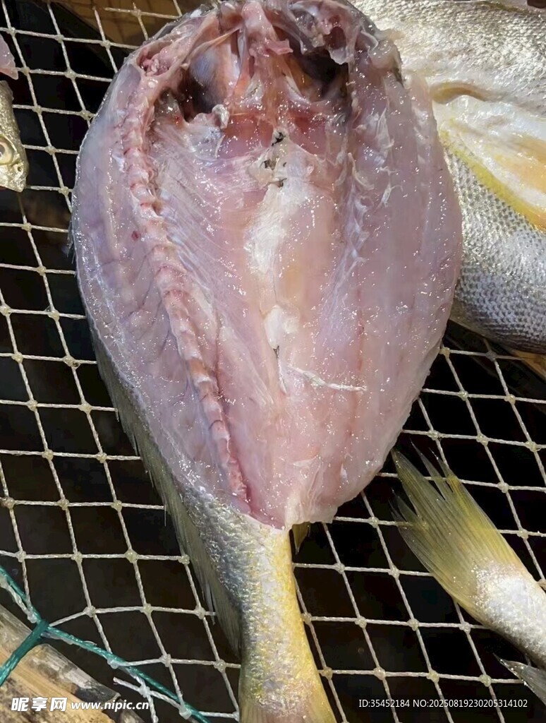 烤黃魚