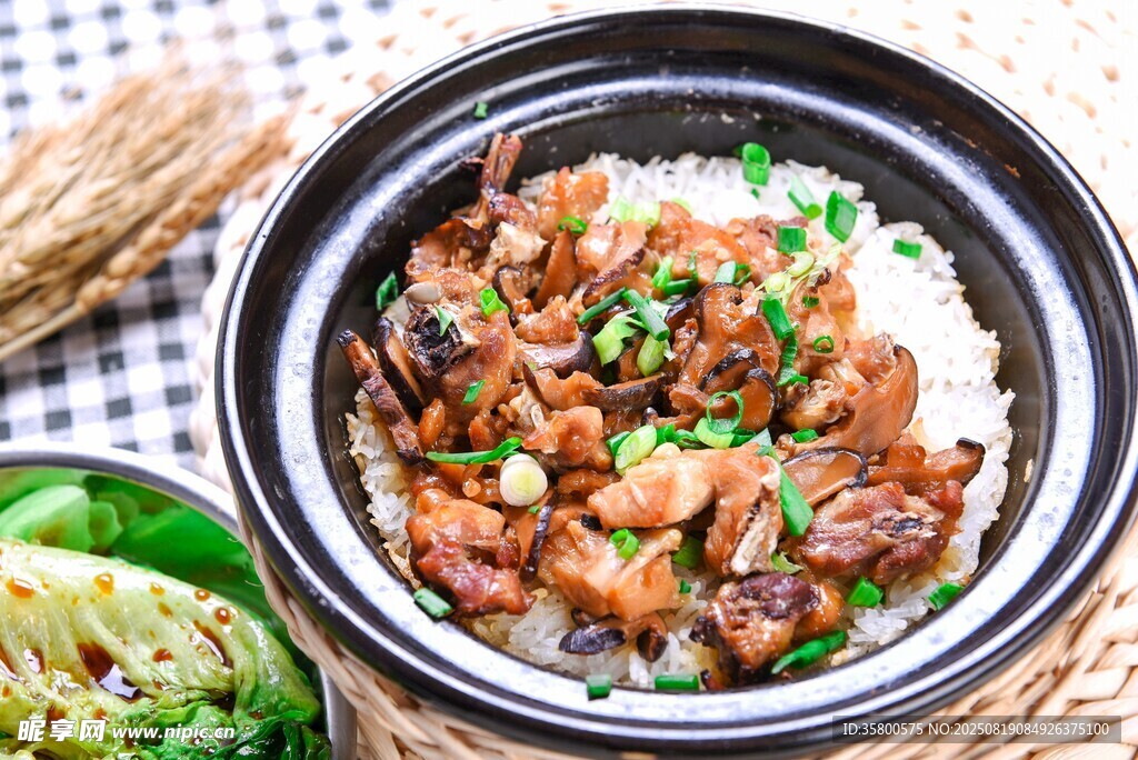 美味雞肉煲仔飯