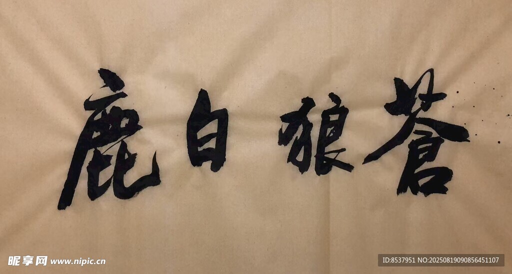 蒼狼白鹿