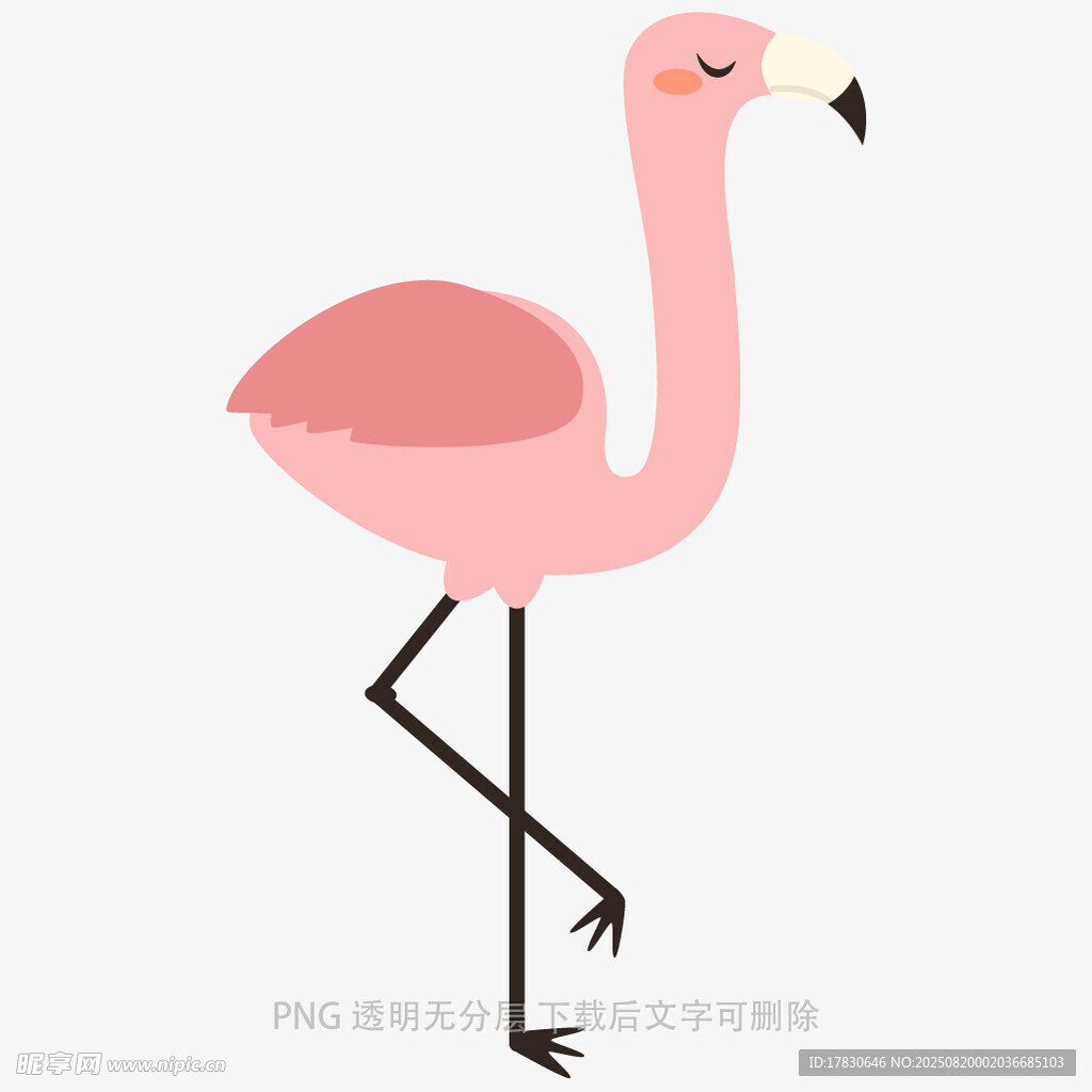 單腿站立的粉色火烈鳥(niǎo)插畫(huà)
