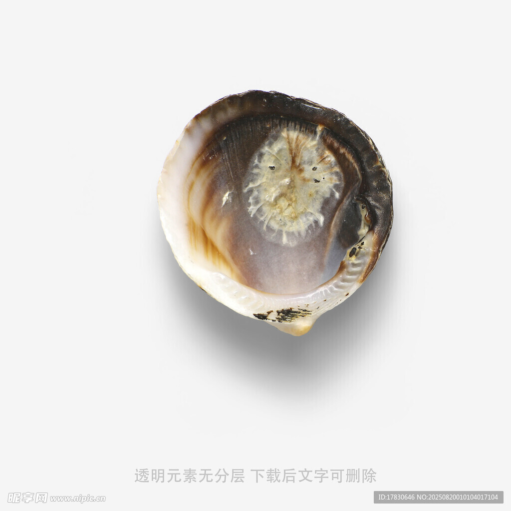 獨(dú)特花紋瑪瑙石
