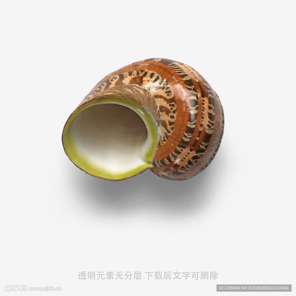 精美花紋陶瓷容器