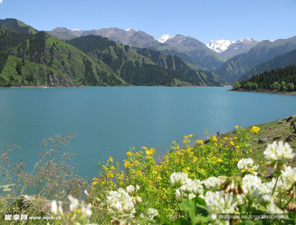 湖畔繁花伴青山碧水