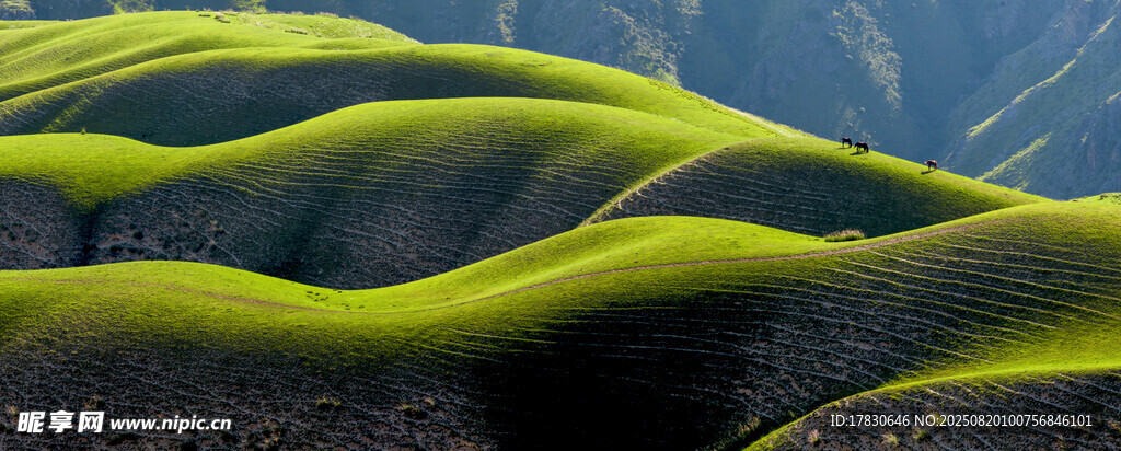 翠綠山巒美景