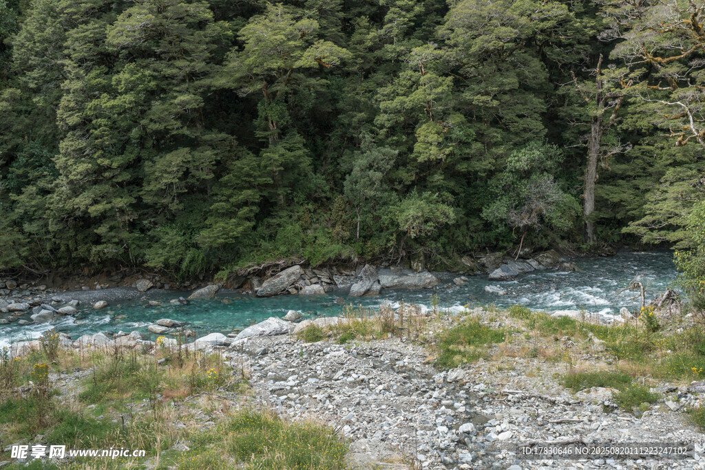 山間溪流旁的礫石河岸