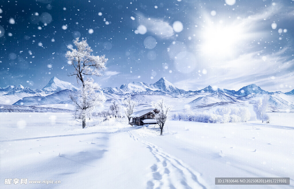 冬日雪景中的靜謐之路