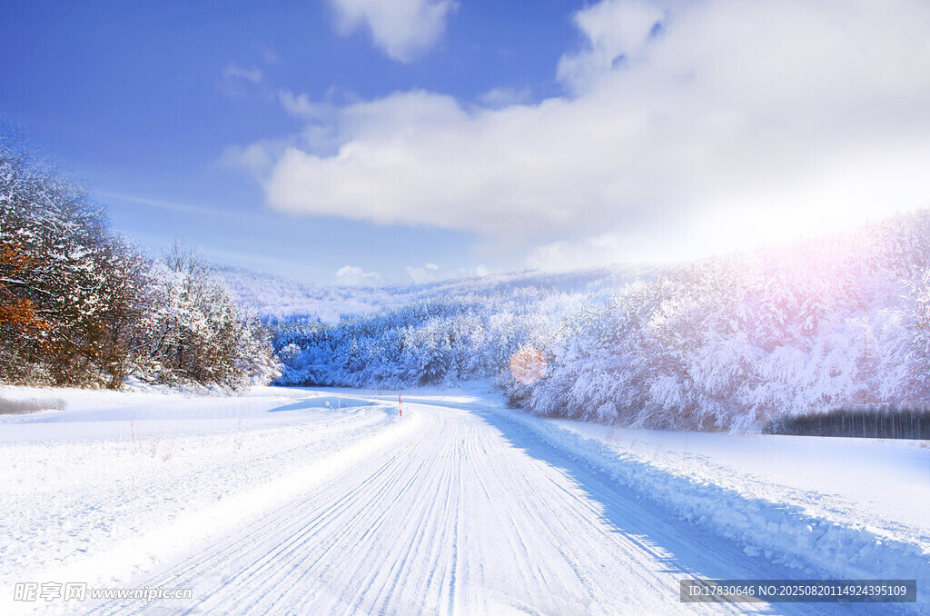 冬日雪景中的開闊雪路