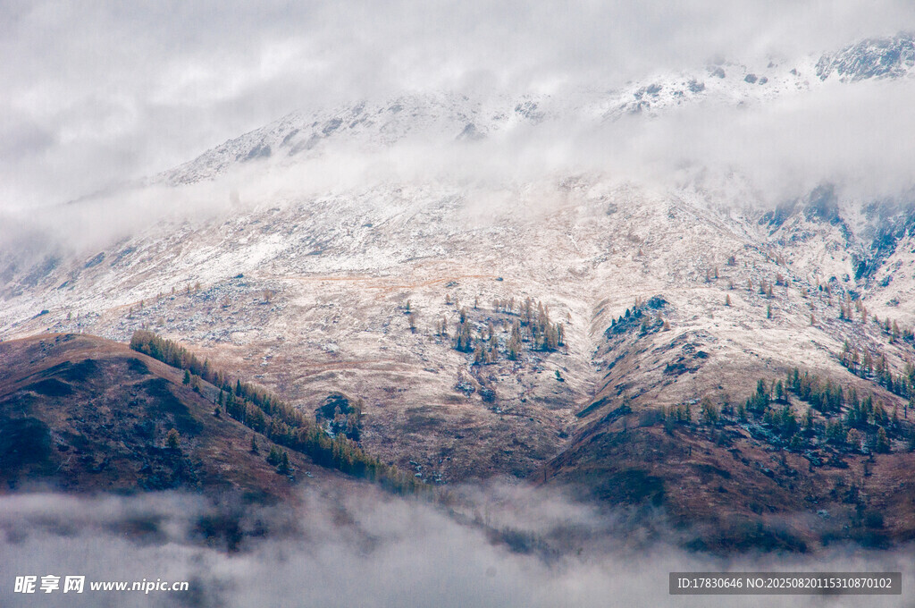 雪山云海壯麗景觀