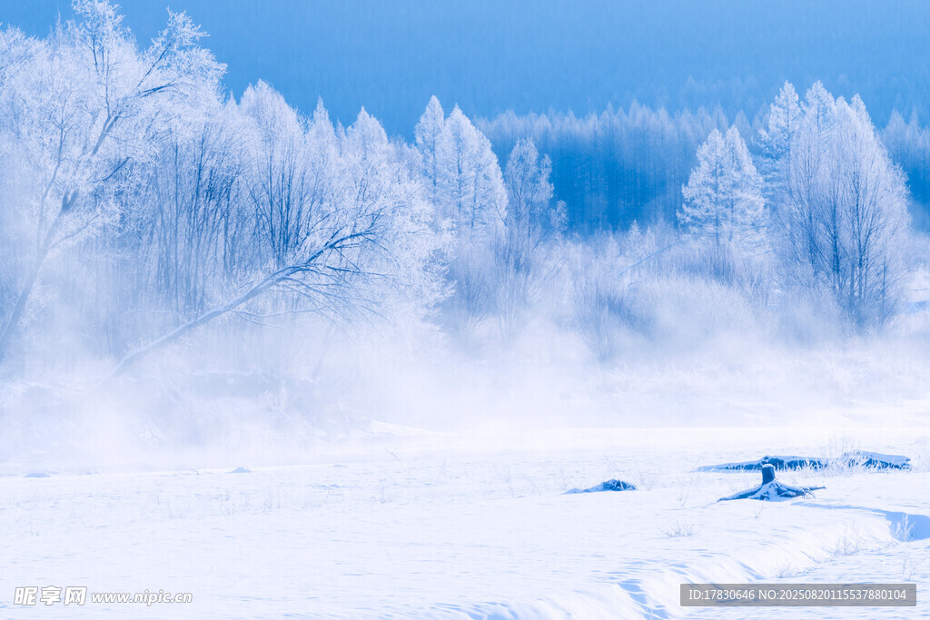 冬日霧凇雪景迷人風光