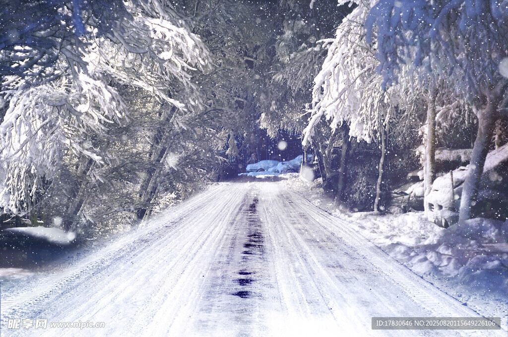 冬日雪覆林間路