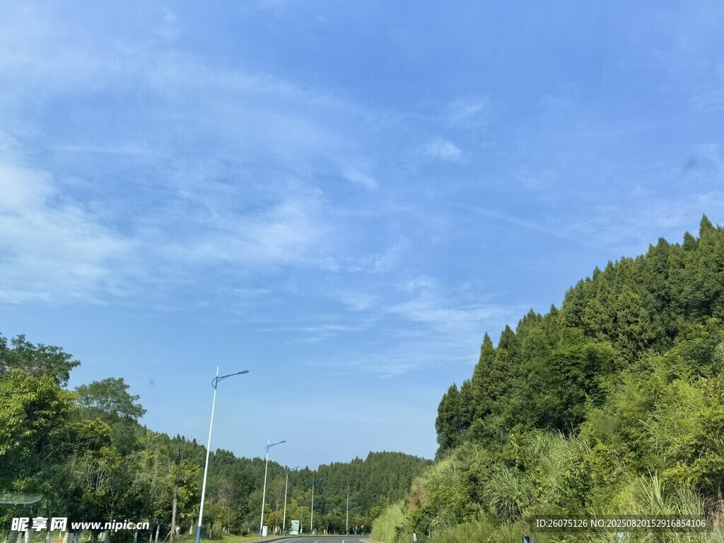 山間公路旁的蔥郁樹(shù)林