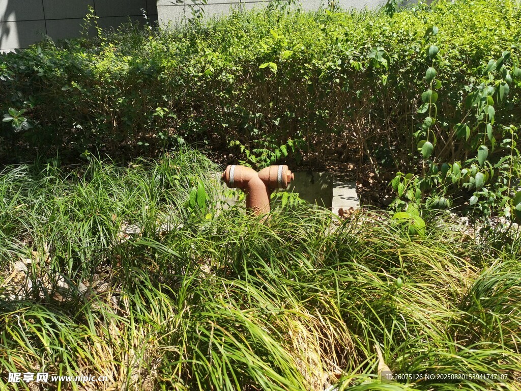 花園中的別致小景與紅色澆灌設(shè)施