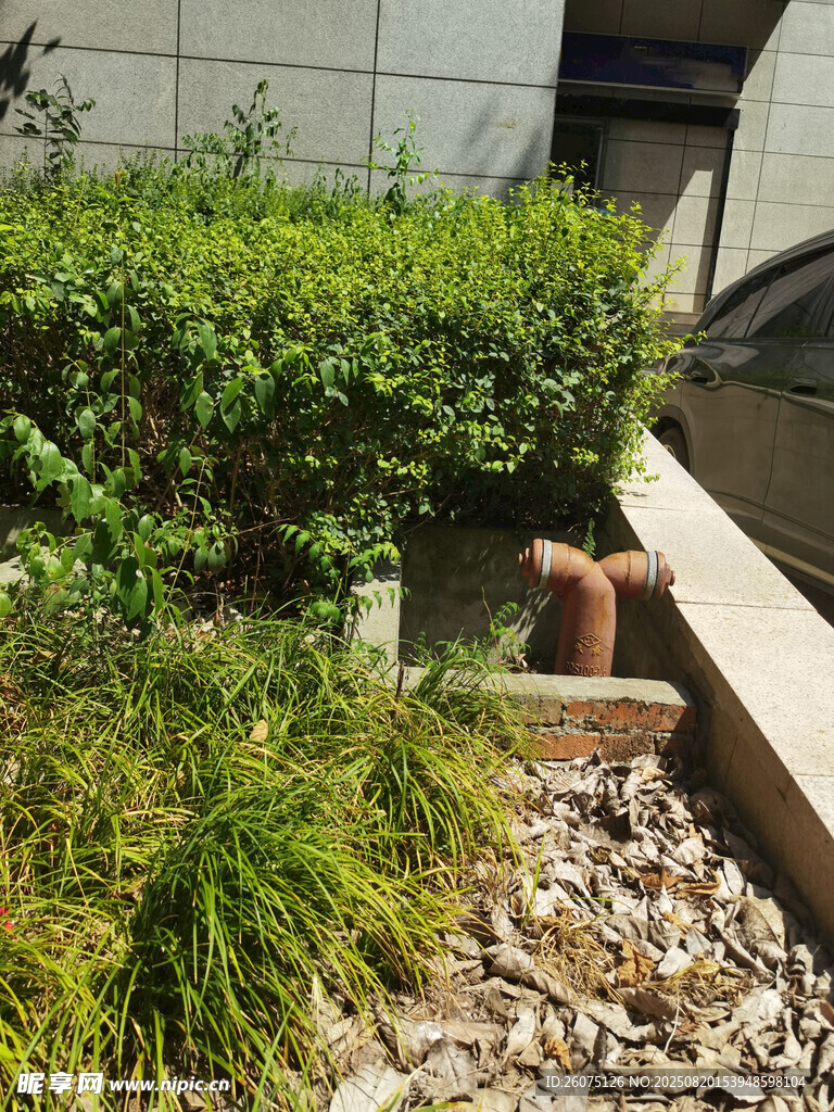 庭院綠植與碎石景觀