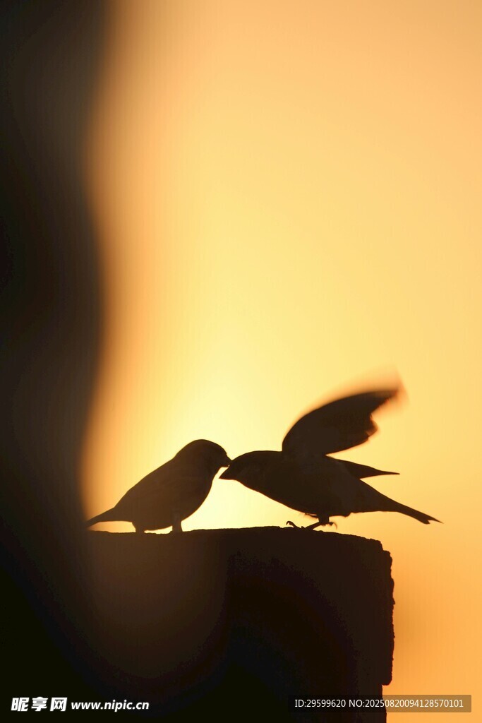 夕陽下親昵的雙鳥剪影