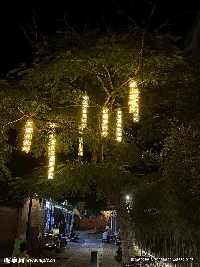 夜晚林間懸掛的發(fā)光燈串