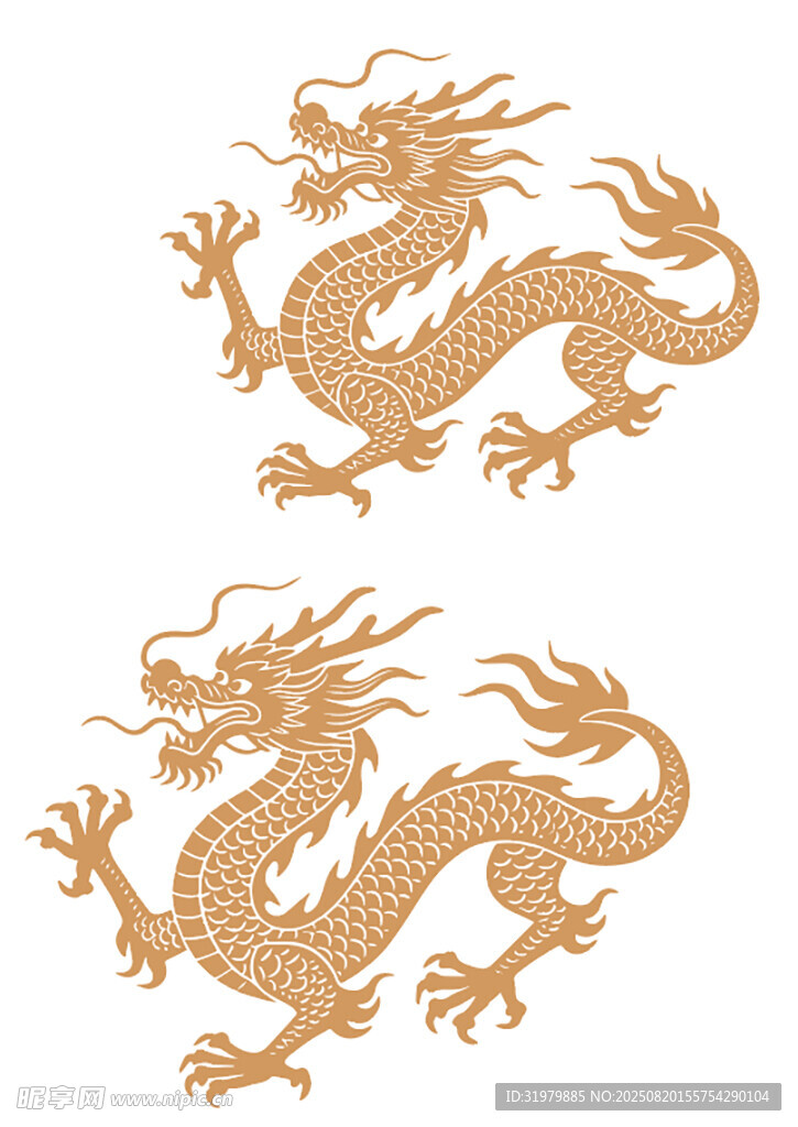 金色雙龍圖案