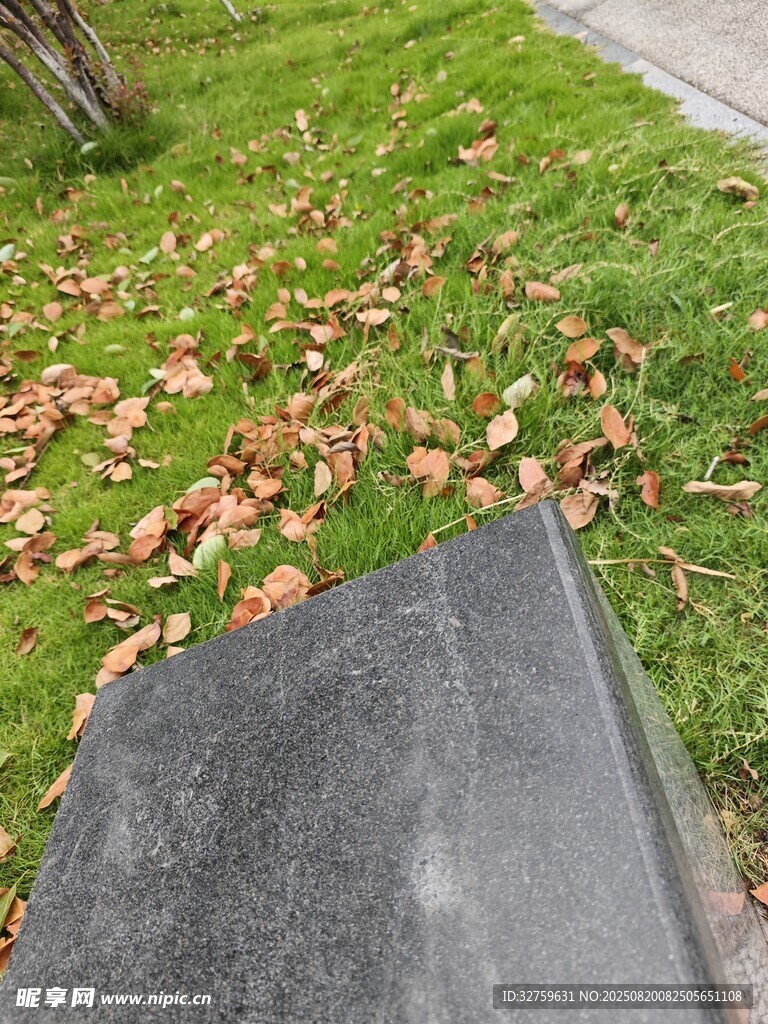 石板旁草地散落枯黃樹葉