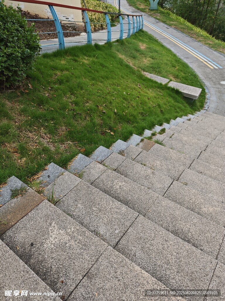 戶外石階旁的綠意景致