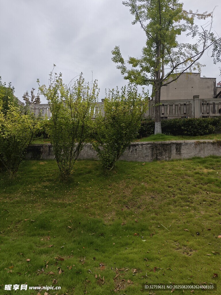 戶外庭院綠植景觀