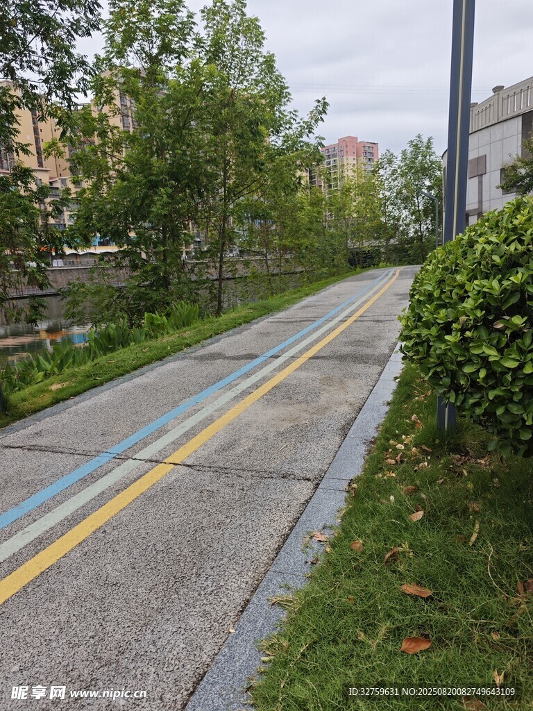 城市中幽靜的雙黃線(xiàn)小路