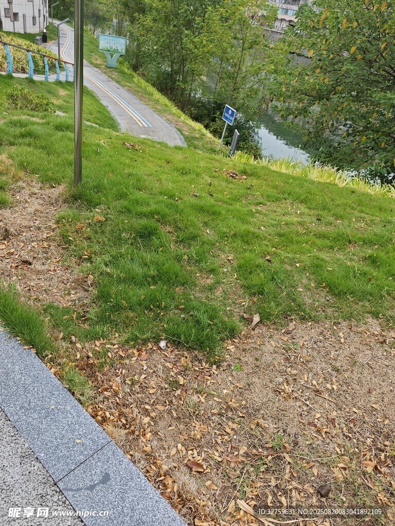 路邊綠意盎然的草地景觀