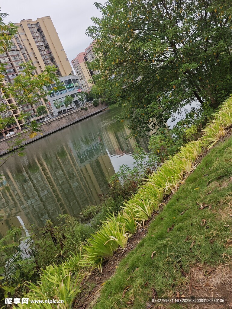 城市河畔綠植景觀