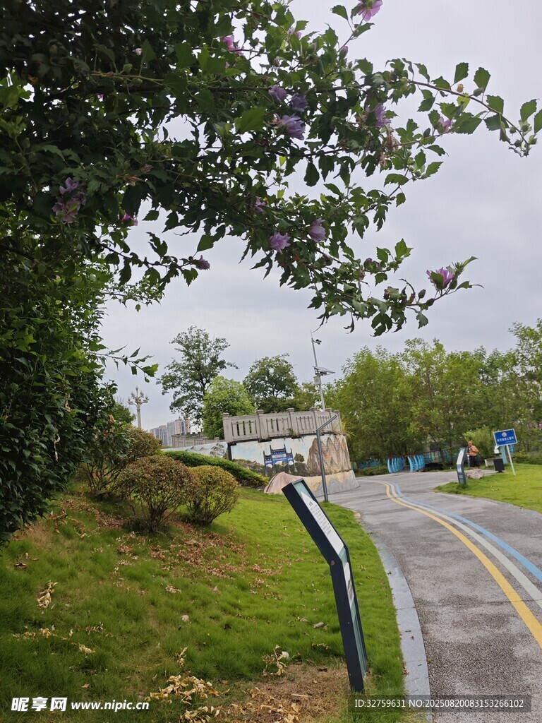 蜿蜒小路旁綠意盎然景致
