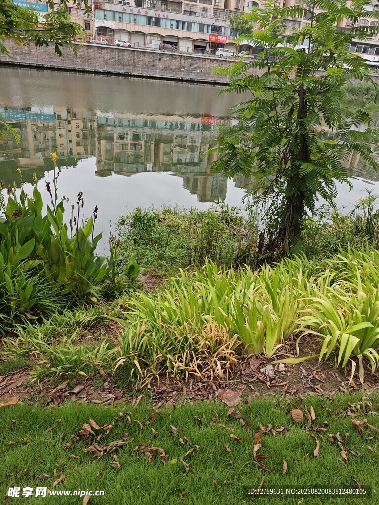 庭院綠植景觀