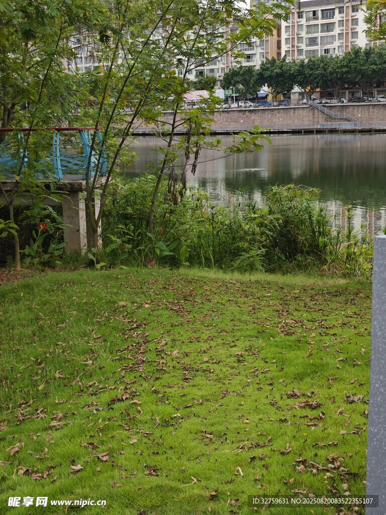 河畔綠草與繁茂樹(shù)木景觀