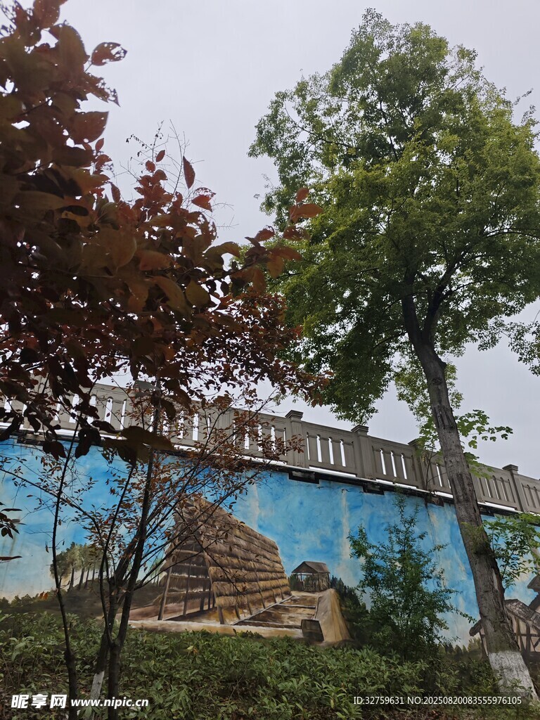 彩繪圍墻旁的多彩樹木