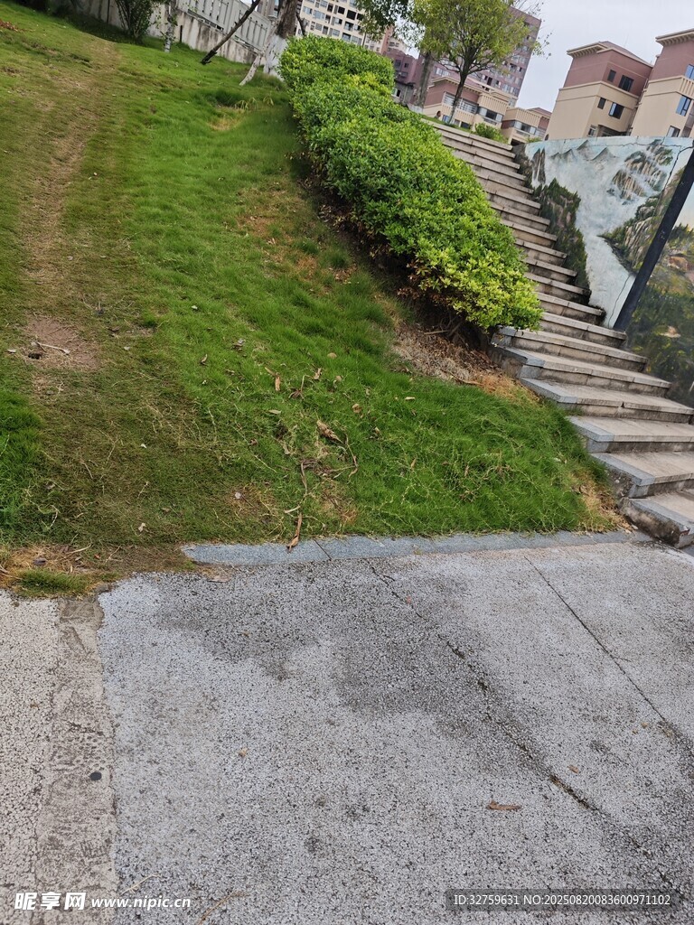 戶外草地旁的水泥路面