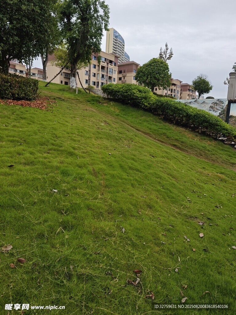 綠草如茵的城市景觀