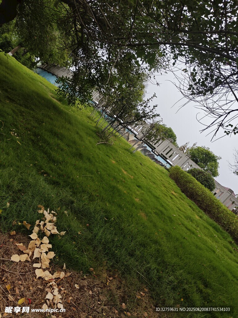 綠意盎然的戶外斜坡景色