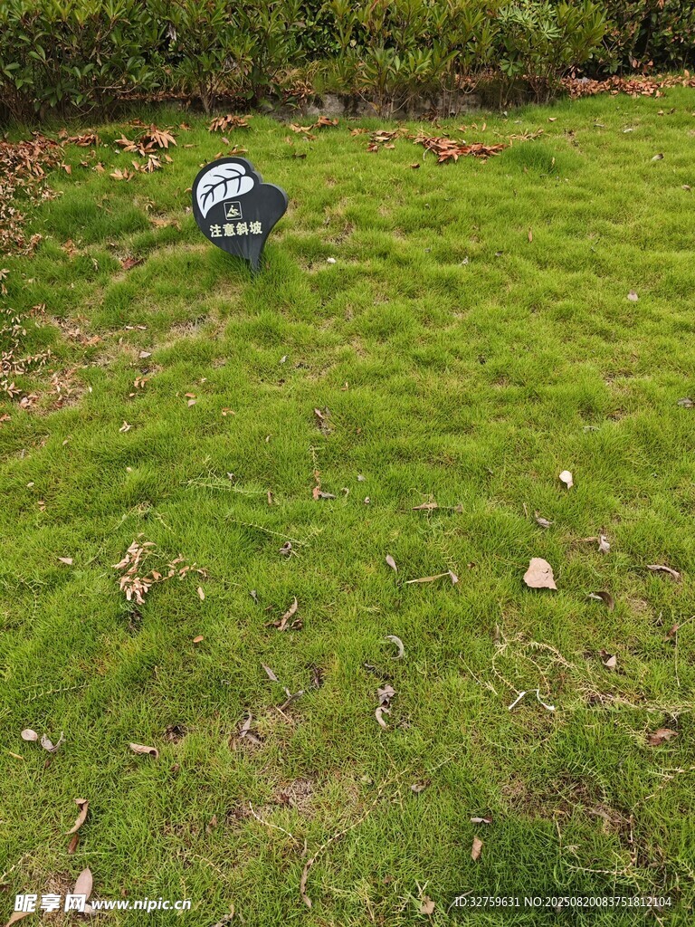 草地上的神秘黑色物體