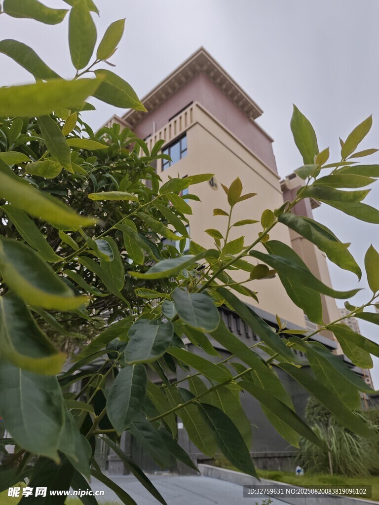 綠葉掩映下的建筑物
