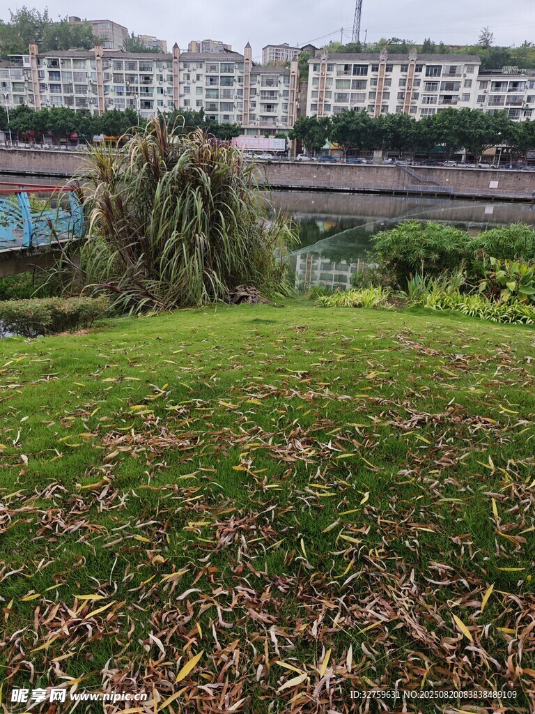 城市邊的綠意草坪景觀