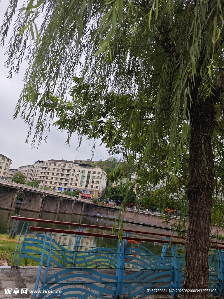 垂柳下的多彩游樂設(shè)施
